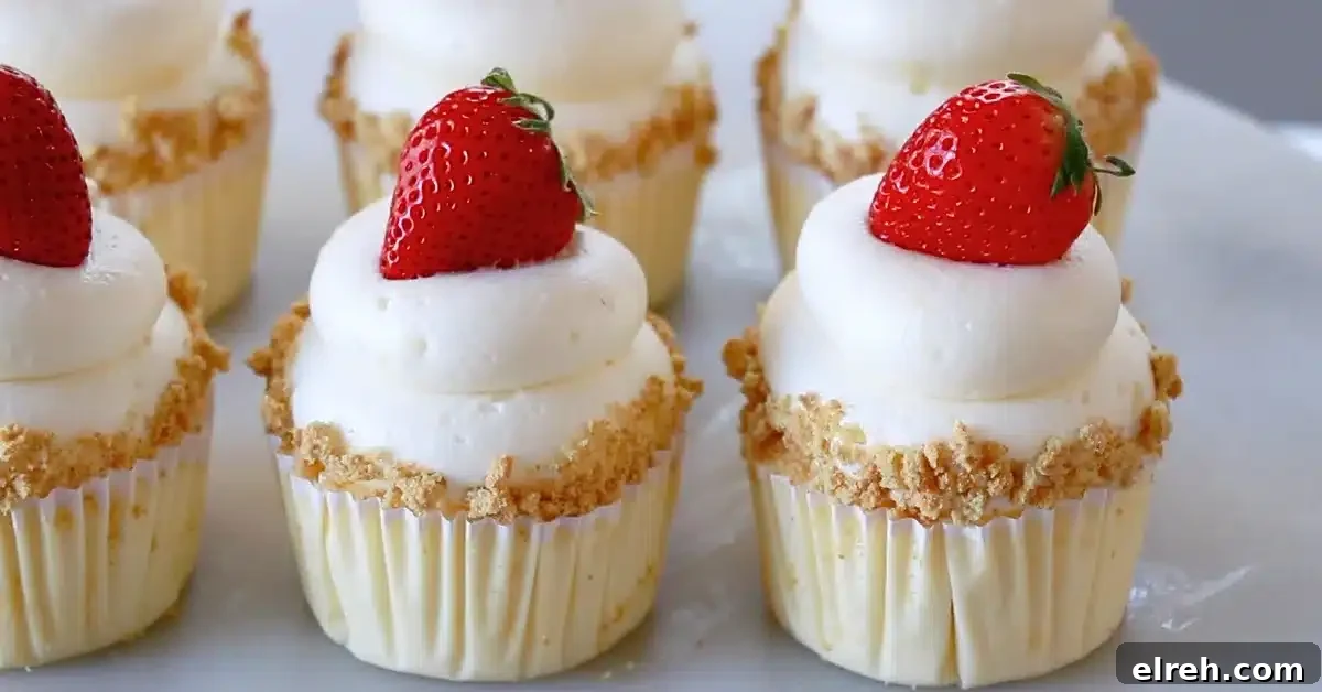Mini Strawberry Cheesecake Bites Recipe 4 img 5542 3