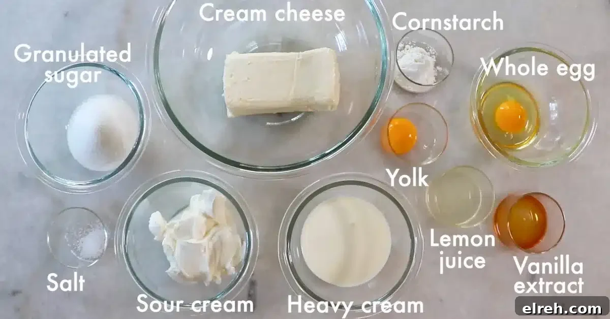 Mini Strawberry Cheesecake Bites Recipe 6 img 5542 5