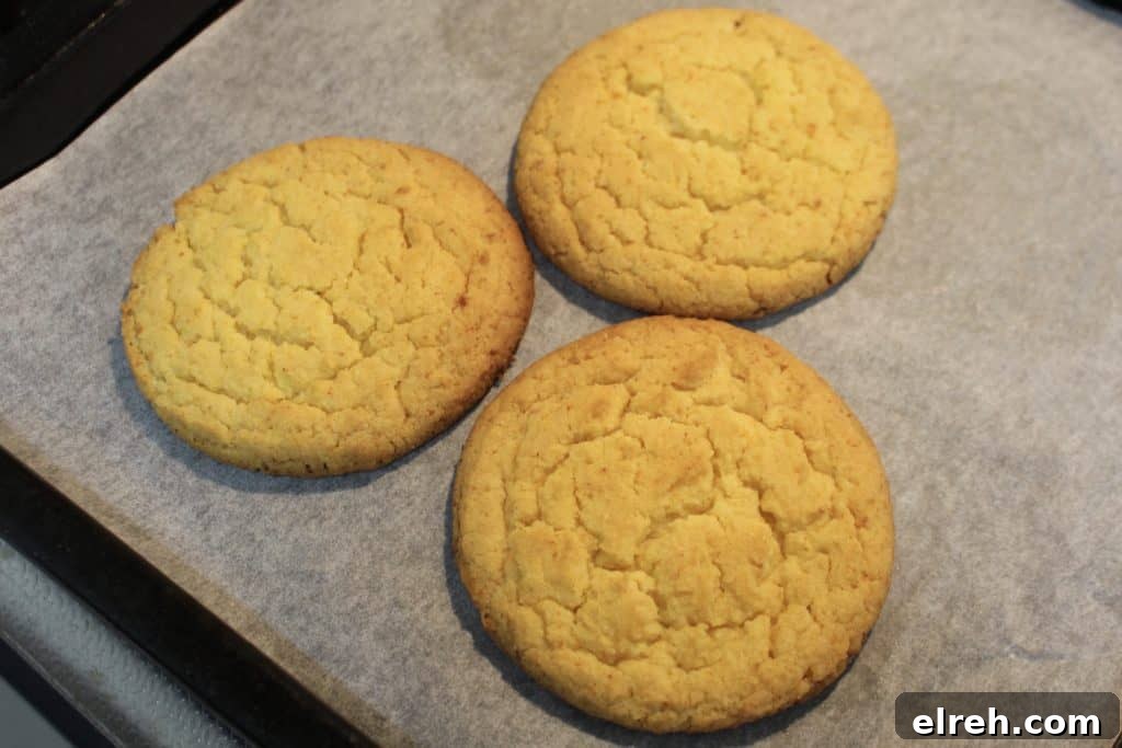 Corn cookies