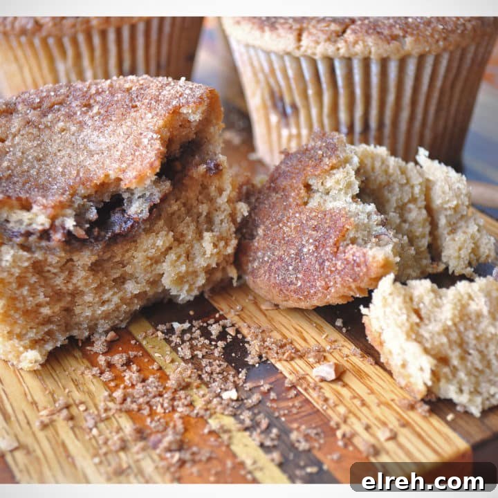 Jumbo Cinnamon Sugar Coffee Cake Muffin recipe