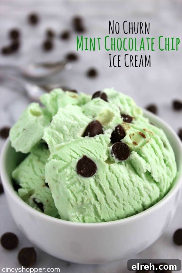 No Churn Mint Chocolate Chip Ice Cream Recipe 2 No Churn Mint Chocolate Chip Ice Cream- Just a couple of ingredients and a few minutes time. No ice cream maker is needed to make this minty chocolate chip goodness.