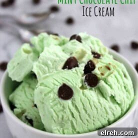 No Churn Mint Chocolate Chip Ice Cream Recipe 12 No Churn Mint Chocolate Chip Ice Cream