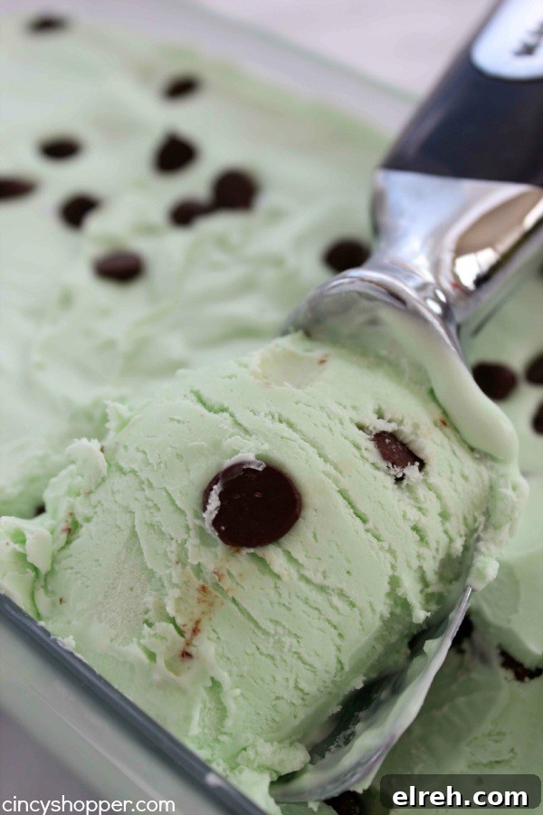 No Churn Mint Chocolate Chip Ice Cream Recipe 3 No Churn Mint Chocolate Chip Ice Cream- Just a couple of ingredients and a few minutes time. No ice cream maker is needed to make this minty chocolate chip goodness.
