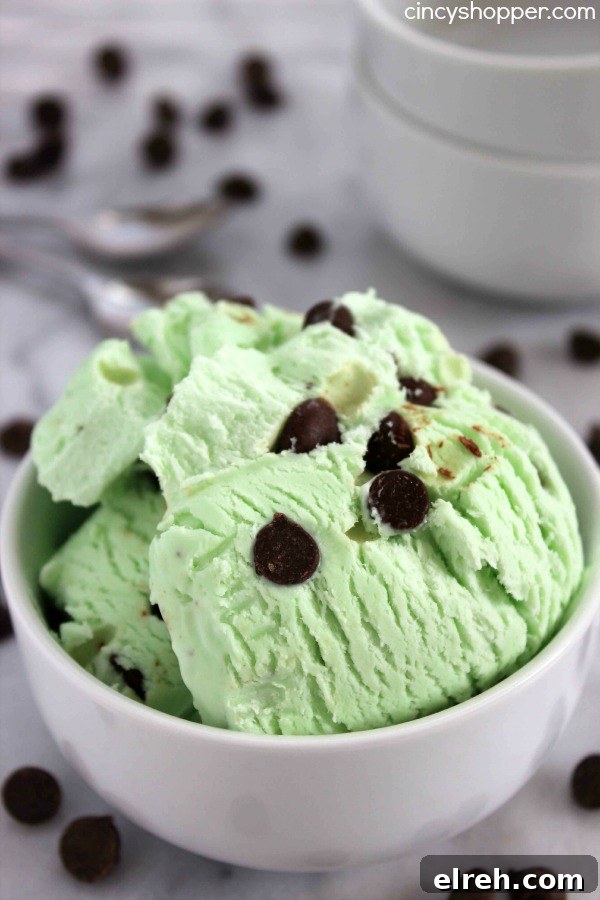No Churn Mint Chocolate Chip Ice Cream Recipe 4 No Churn Mint Chocolate Chip Ice Cream- Just a couple of ingredients and a few minutes time. No ice cream maker is needed to make this minty chocolate chip goodness.