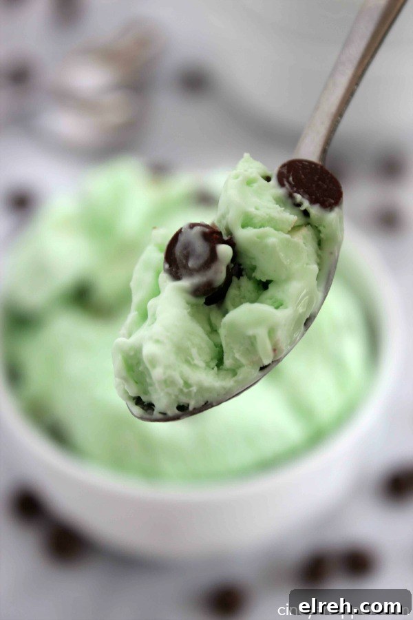 No Churn Mint Chocolate Chip Ice Cream Recipe 5 No Churn Mint Chocolate Chip Ice Cream- Just a couple of ingredients and a few minutes time. No ice cream maker is needed to make this minty chocolate chip goodness.