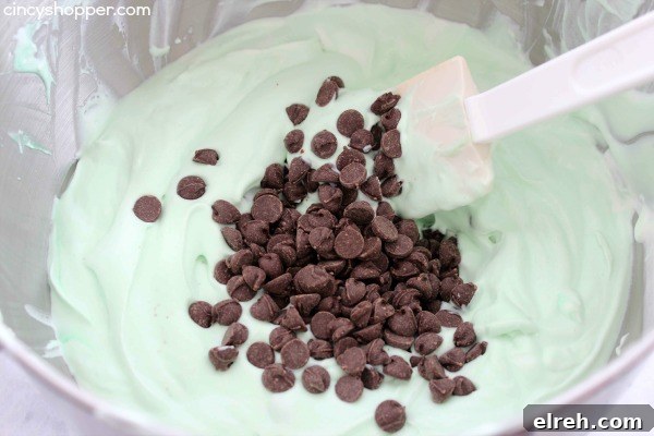 No Churn Mint Chocolate Chip Ice Cream Recipe 7 No Churn Mint Chocolate Chip Ice Cream- Just a couple of ingredients and a few minutes time. No ice cream maker is needed to make this minty chocolate chip goodness.