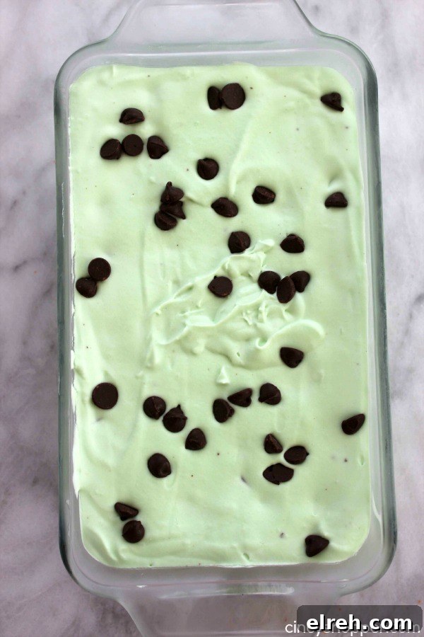No Churn Mint Chocolate Chip Ice Cream Recipe 8 No Churn Mint Chocolate Chip Ice Cream- Just a couple of ingredients and a few minutes time. No ice cream maker is needed to make this minty chocolate chip goodness.
