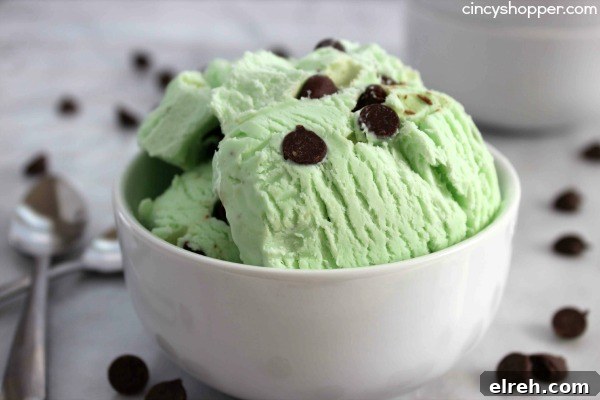 No Churn Mint Chocolate Chip Ice Cream Recipe 9 No Churn Mint Chocolate Chip Ice Cream- Just a couple of ingredients and a few minutes time. No ice cream maker is needed to make this minty chocolate chip goodness.