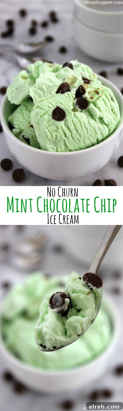No Churn Mint Chocolate Chip Ice Cream Recipe 10 No Churn Mint Chocolate Chip Ice Cream- Just a couple of ingredients and a few minutes time. No ice cream maker is needed to make this minty chocolate chip goodness.