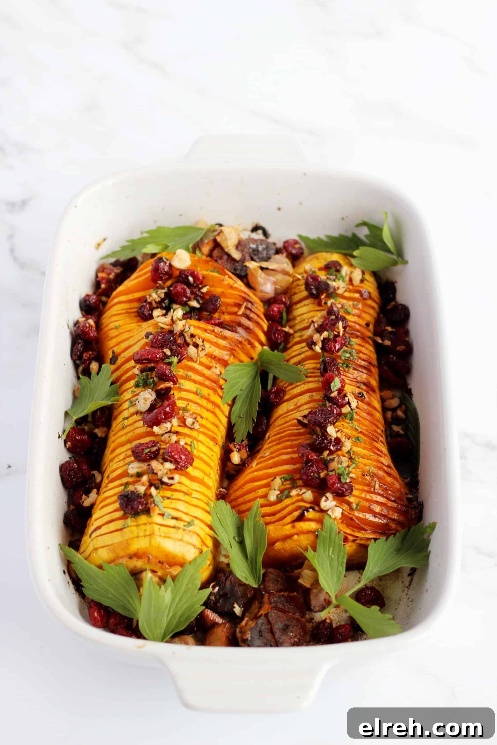 hasselback butternut squash with nuts and cranberries