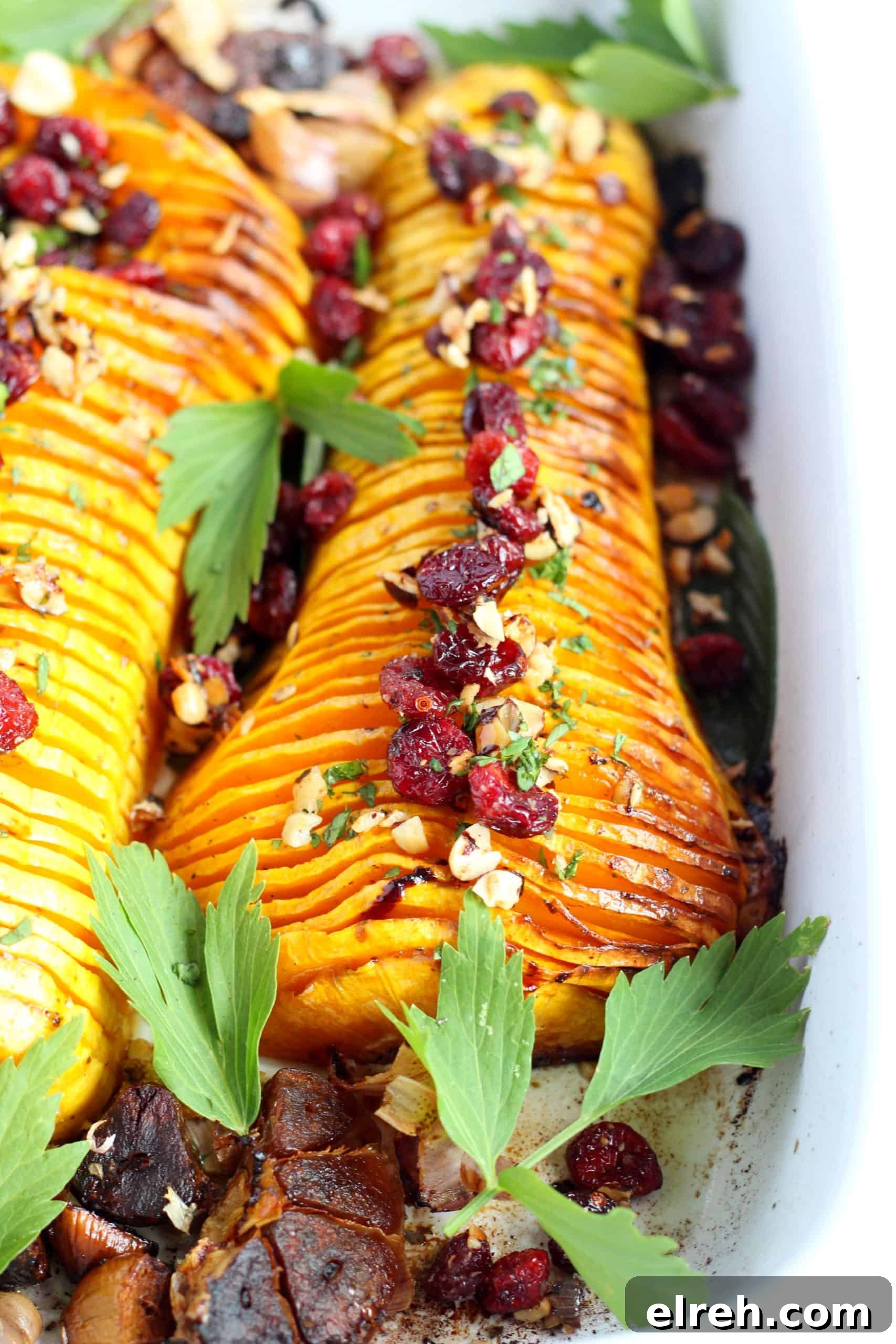 hasselback butternut squash with nuts and cranberries