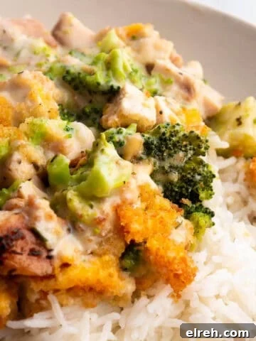 A plate with rice topped with creamy cheese sauce, broccoli, and leftover turkey.