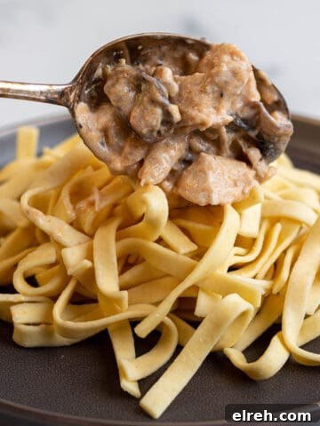 Egg noodles with turkey stroganoff being placed on top.