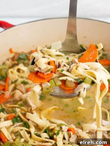 A ladle scooping turkey noodle soup from a Dutch oven.
