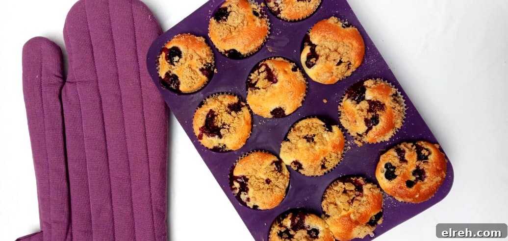 Blueberry Muffins with Buttery Crumble Topping 2 Homemade blueberry muffins with crumble topping