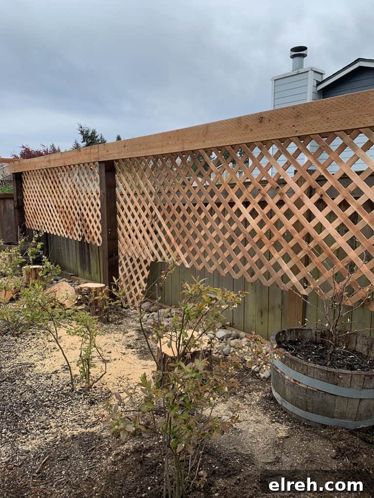 How to Build a Garden Trellis: Step-by-Step Guide 11 DIY Garden Trellis