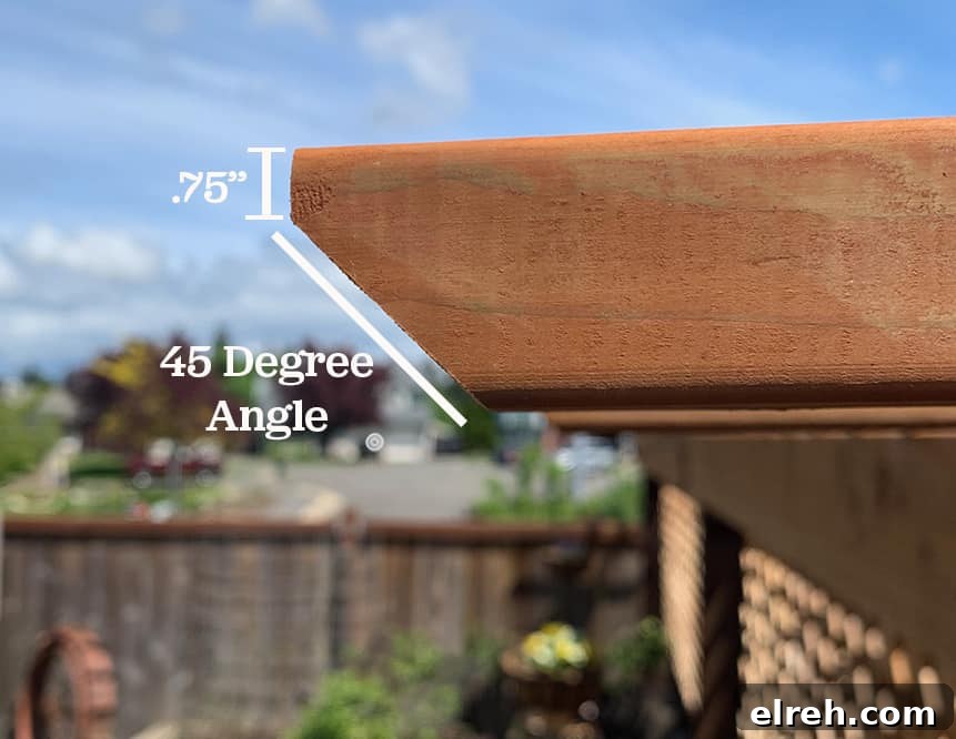 How to Build a Garden Trellis: Step-by-Step Guide 12 DIY Garden Trellis