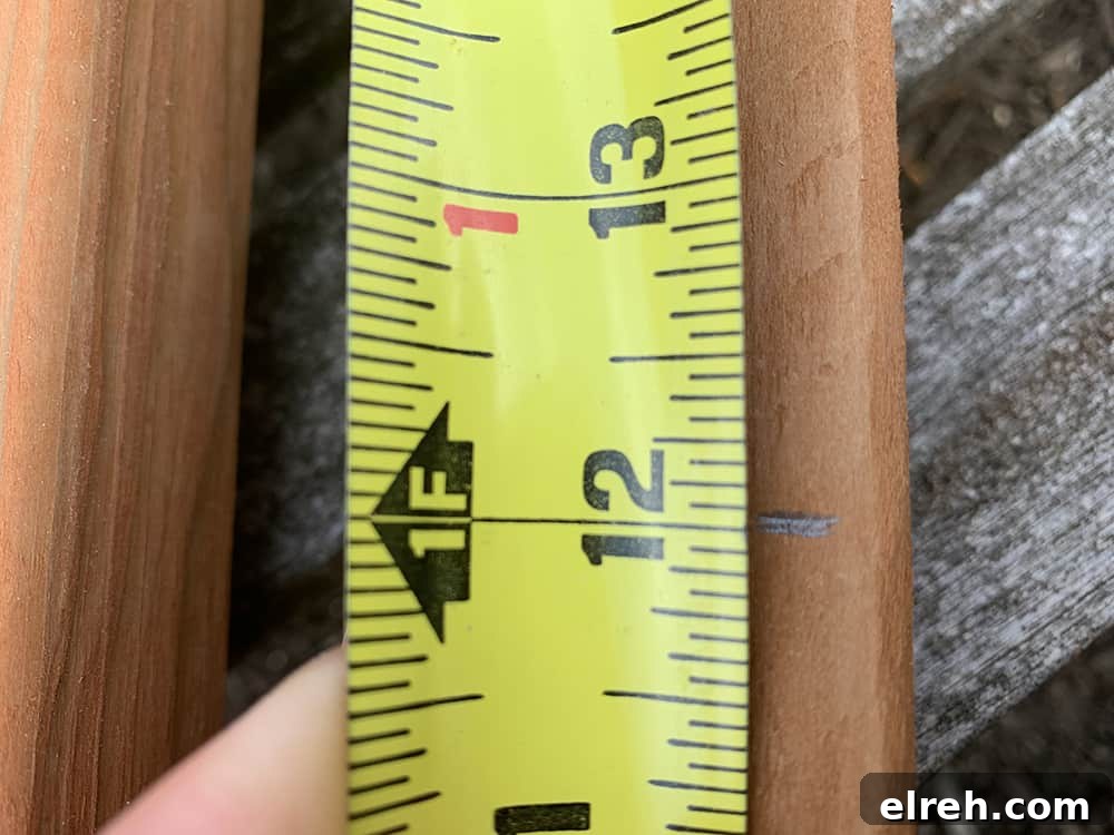 How to Build a Garden Trellis: Step-by-Step Guide 13 img 643 12