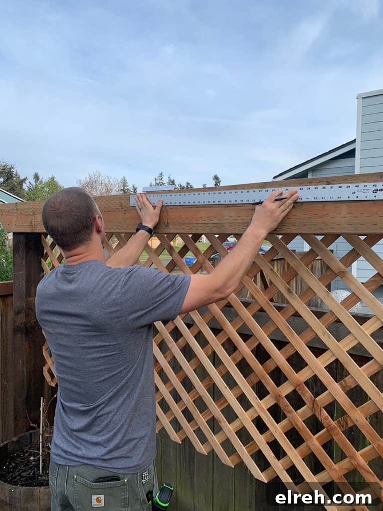 How to Build a Garden Trellis: Step-by-Step Guide 14 img 643 13