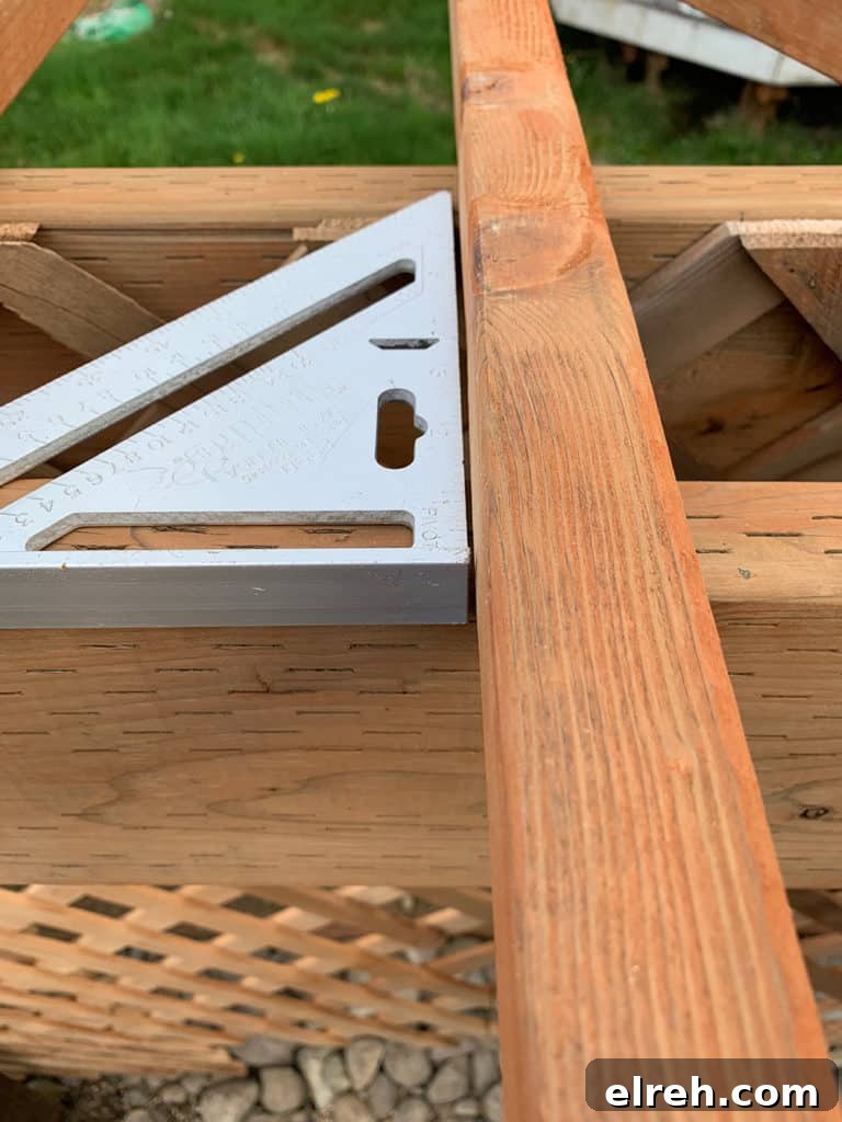 How to Build a Garden Trellis: Step-by-Step Guide 15 img 643 14
