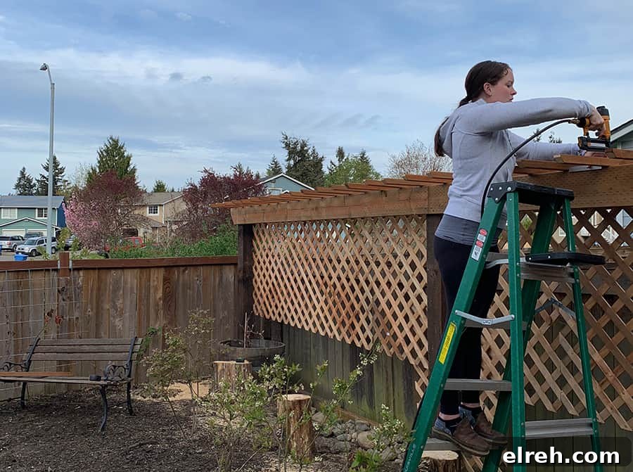 How to Build a Garden Trellis: Step-by-Step Guide 16 DIY Garden Trellis