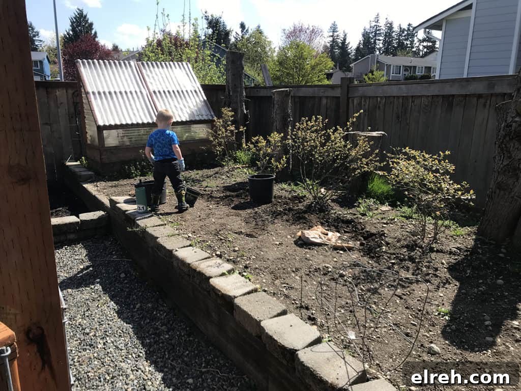 How to Build a Garden Trellis: Step-by-Step Guide 5 img 643 4