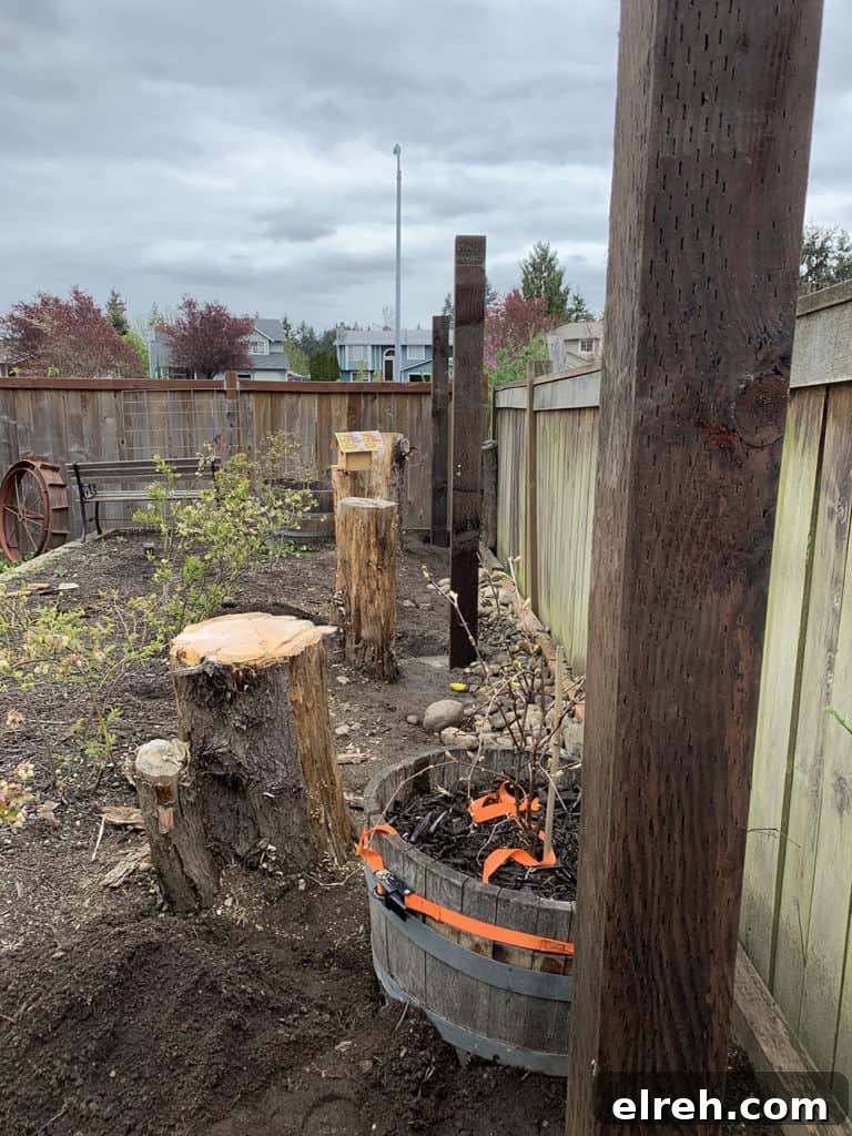 How to Build a Garden Trellis: Step-by-Step Guide 6 img 643 5