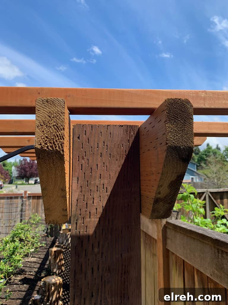 How to Build a Garden Trellis: Step-by-Step Guide 7 img 643 6