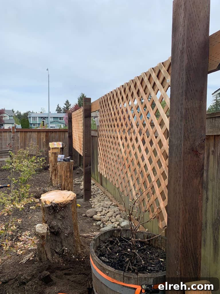 How to Build a Garden Trellis: Step-by-Step Guide 9 DIY Garden Trellis