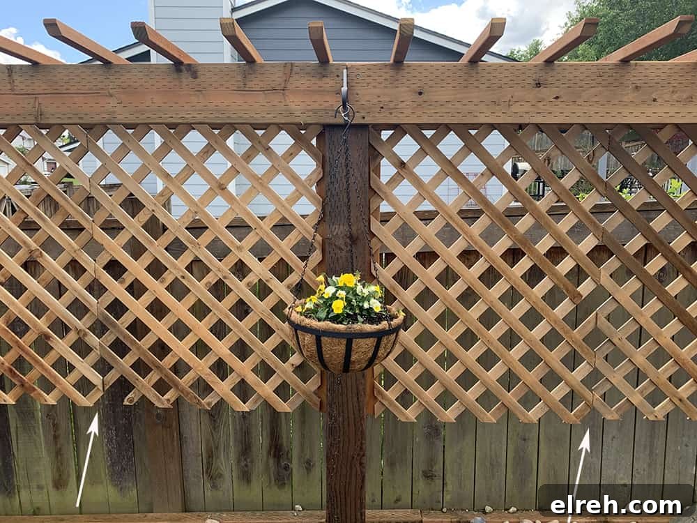 How to Build a Garden Trellis: Step-by-Step Guide 10 DIY Garden Trellis