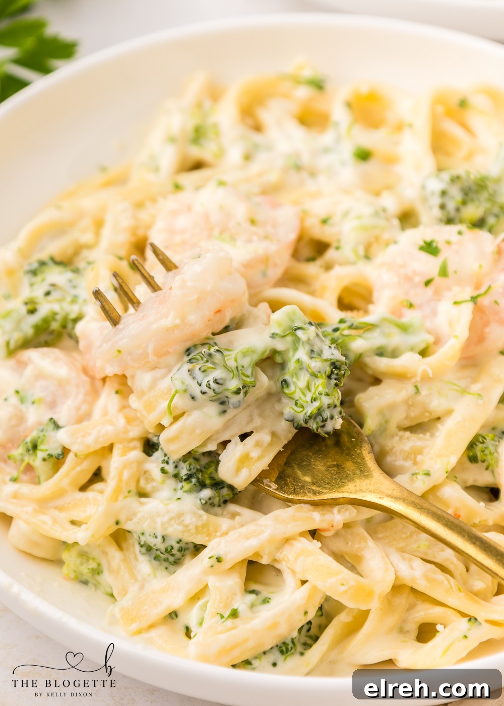 Shrimp Alfredo - done in less than 30 minutes!