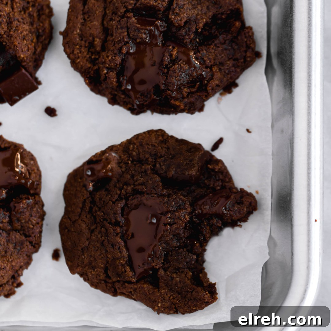 Double Chocolate Fudgy Cookies - Paleo, gluten-free, dairy-free, with nut-free and egg-free options