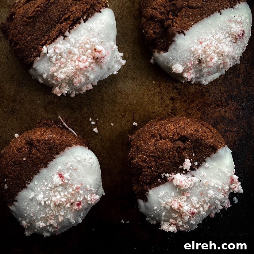 Dipped chocolate cookie variation