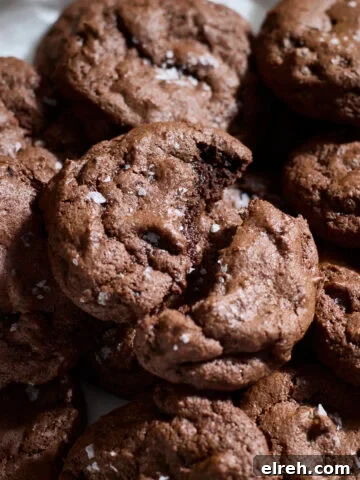 A Sourdough Chocolate Espresso Cookie broken in half.