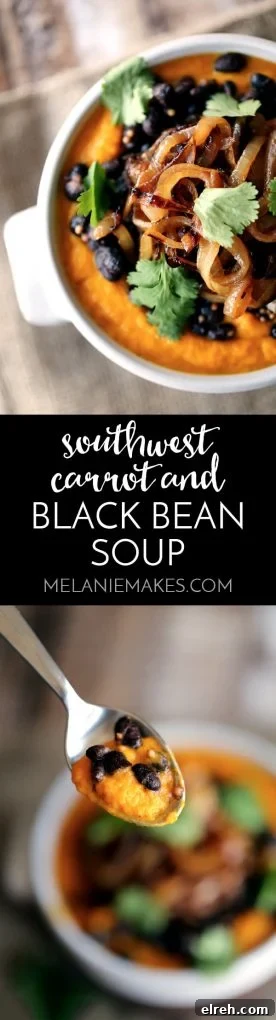 This velvety Southwest Carrot and Black Bean Soup is both hearty and satisfying and you won't want to share a single spoonful. Roasted carrots are pureed and studded with spiced black beans before being crowned with a generous tangle of fried onions and fresh cilantro.