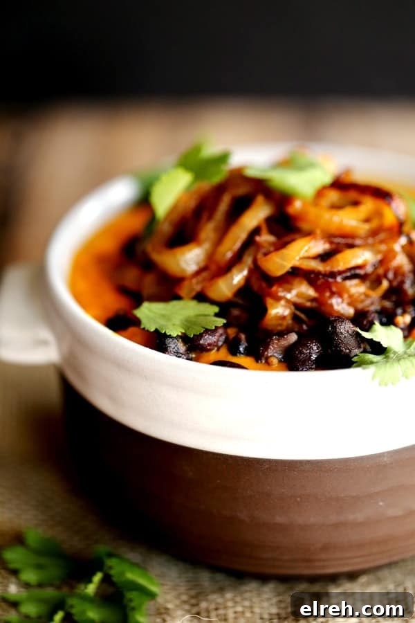 Close-up of Southwest Carrot and Black Bean Soup with fried onions
