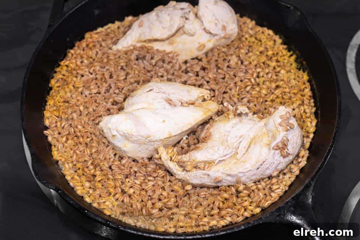 One-Pan Cheesy Chicken Enchilada Skillet 4 Farro and chicken cooked in skillet.