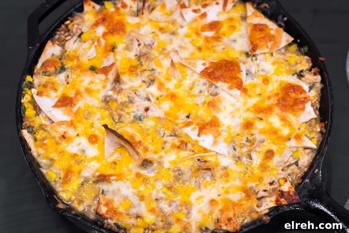 One-Pan Cheesy Chicken Enchilada Skillet 7 Baked chicken enchilada skillet.