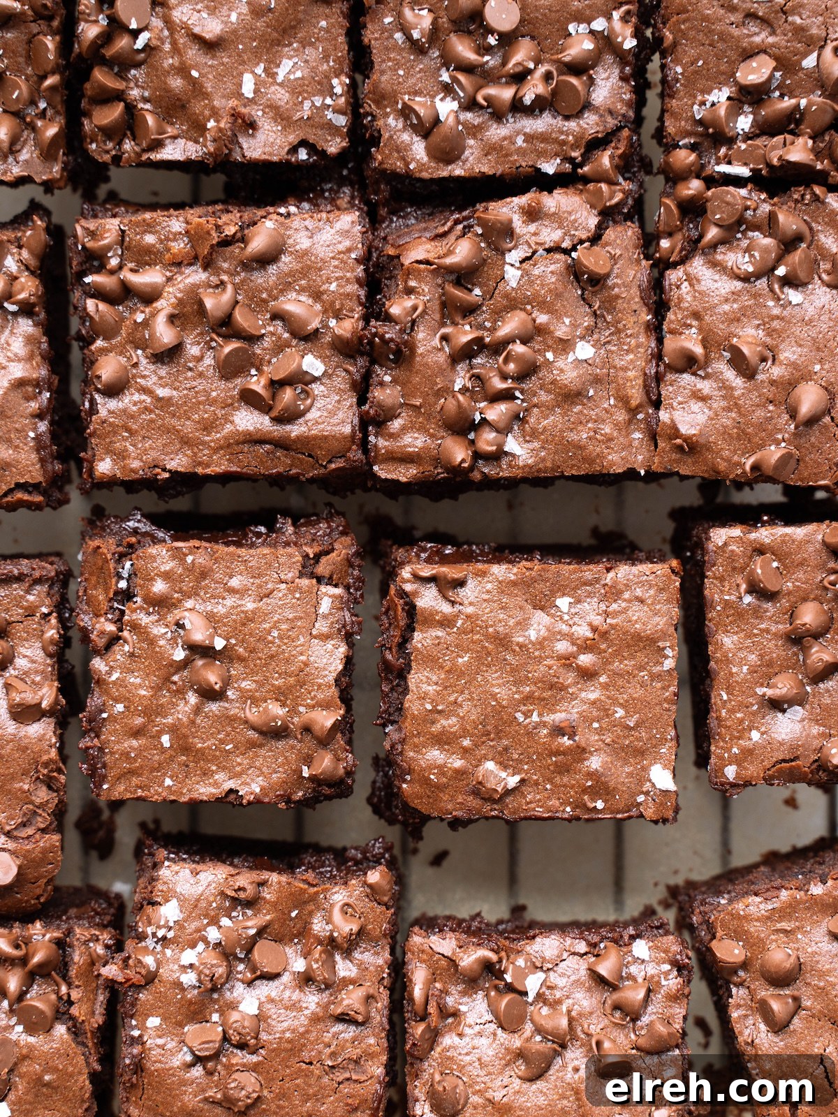 Fudgy Sourdough Chocolate Brownies Recipe 4 Sourdough brownies in a pan with chocolate chips on top