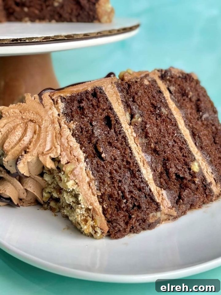 Chocolate cinnamon cake slice