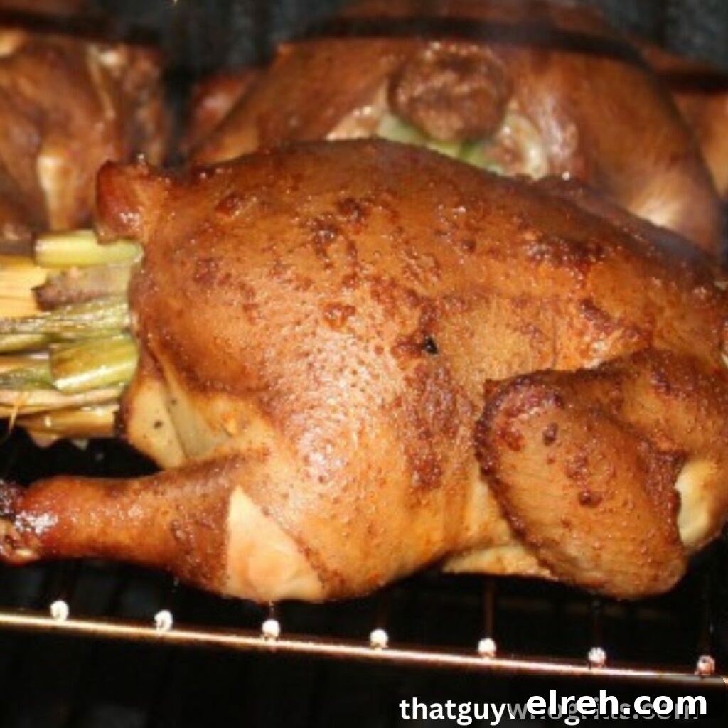 Smoked Chicken Recipes for Tender, Flavorful Results 9 Smoked Cornish Game Hens With Stuffing In Smoker