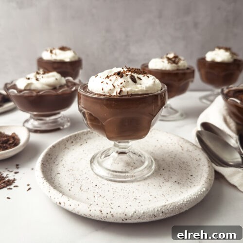 Creamy Homemade Chocolate Pudding Recipe 10 Chocolate pudding in a bowl