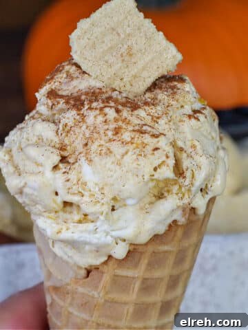 pumpkin pie ice cream in a cone