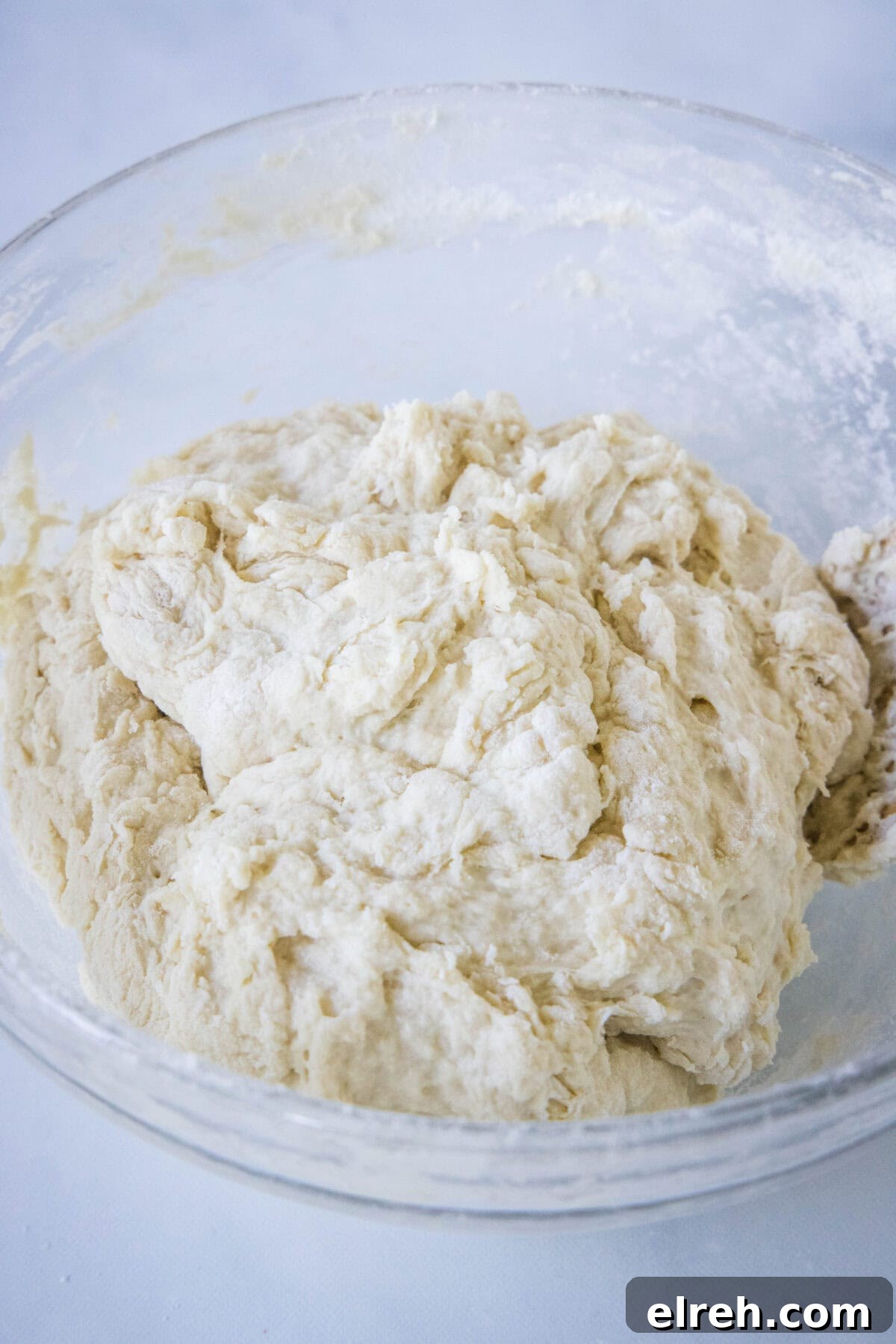 dough resting in mixing bowl