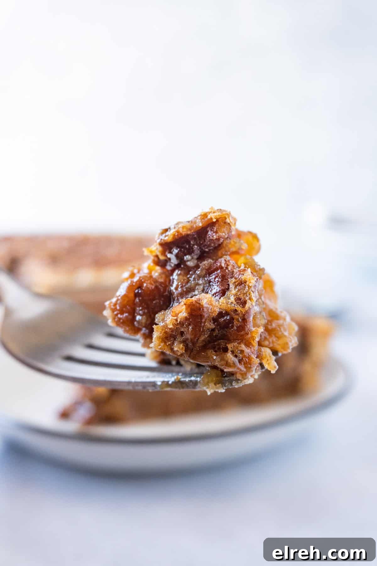 Old Fashioned Pecan Pie Recipe 3 piece of pecan pie on fork