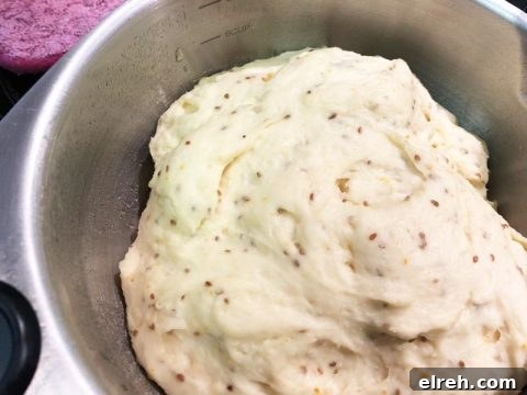 Risen Gluten Free Bread Dough