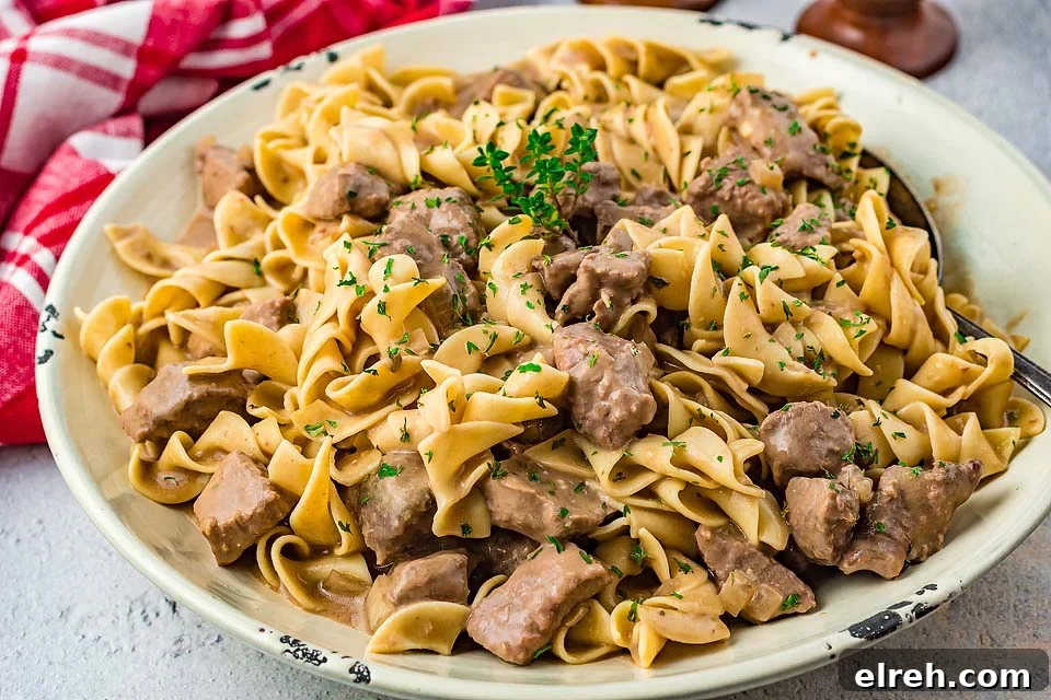 50 July Recipes to Cook This Summer 38 Beef and noodles with mushrooms in a large white bowl.
