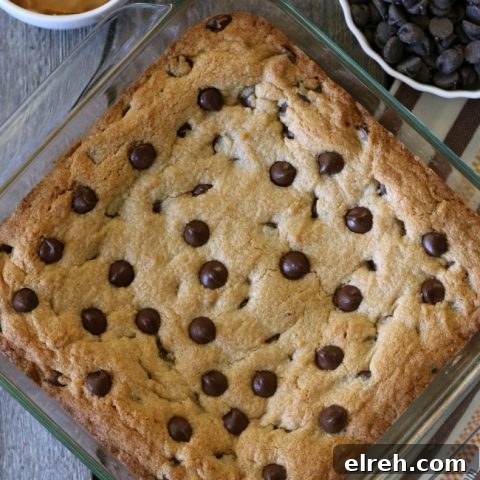 Gluten-free Peanut Butter Brownie with chocolate chips