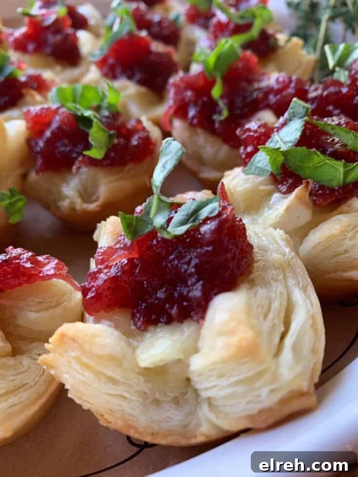 Cranberry Brie Bites