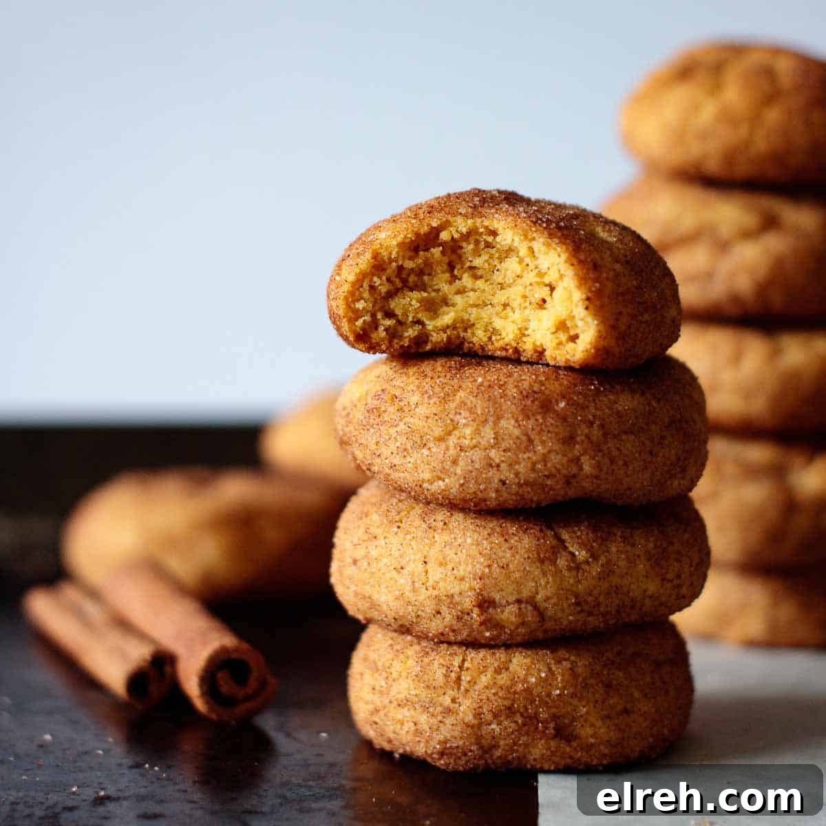Mini Pumpkin Snickerdoodles